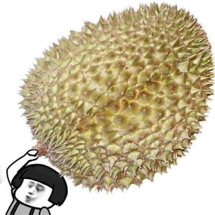 Meme Trung Quốc mang phong cách riêng