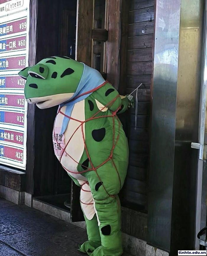 Meme ếch xanh đáng yêu meme