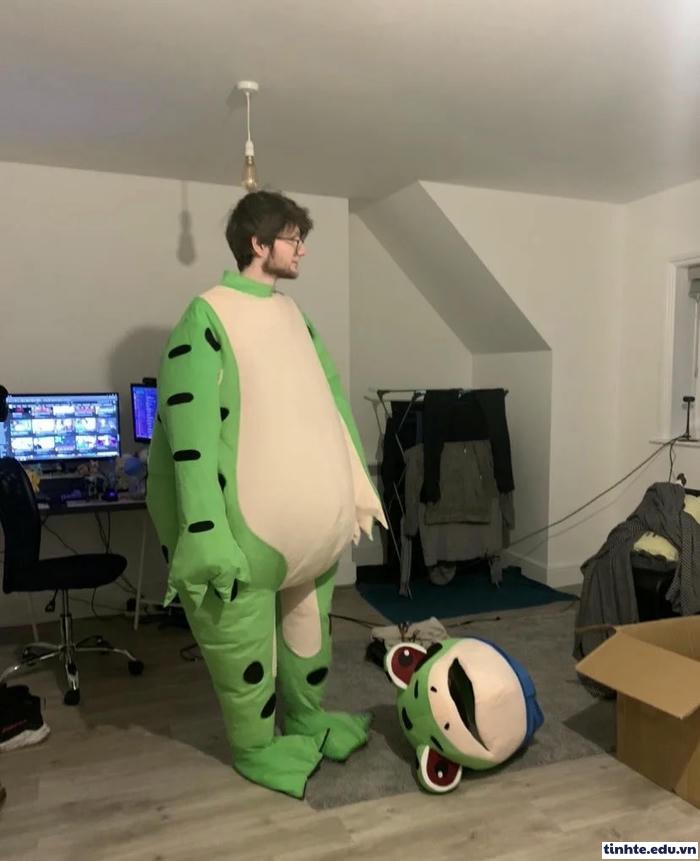 Meme ếch xanh ngộ nghĩnh