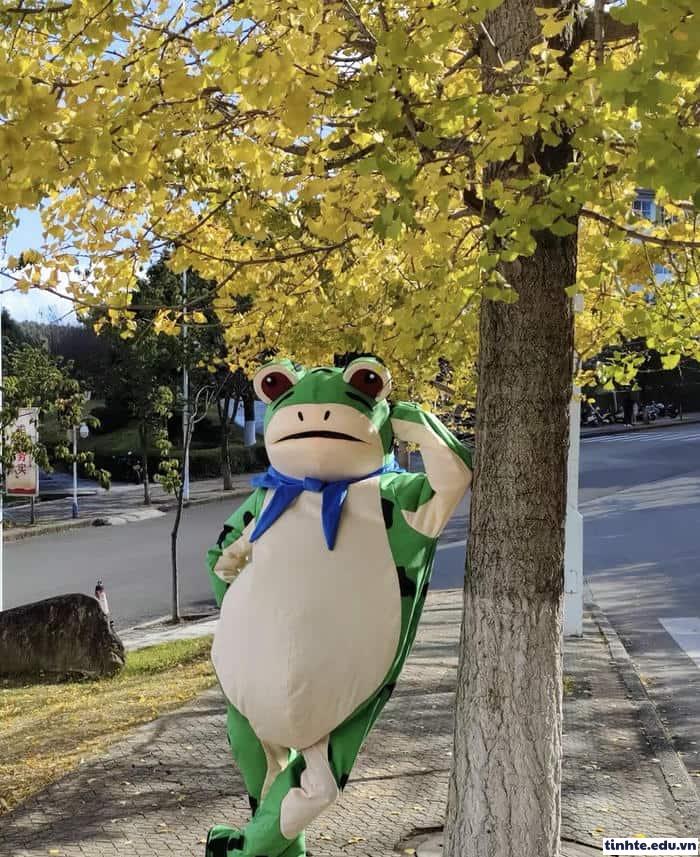 Meme ếch xanh trầm tư