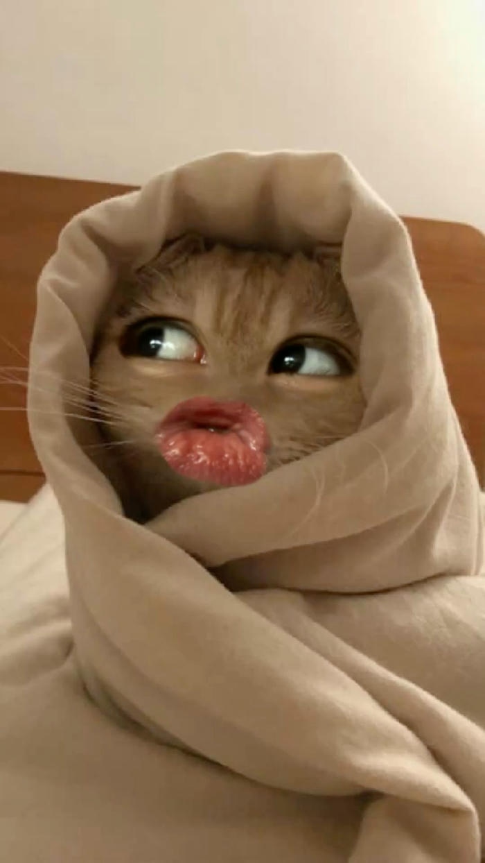 Meme vô tri lan truyền mạnh vui vẻ