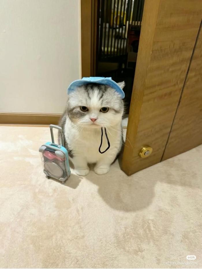 Meme vô tri vui nhộn hài hước