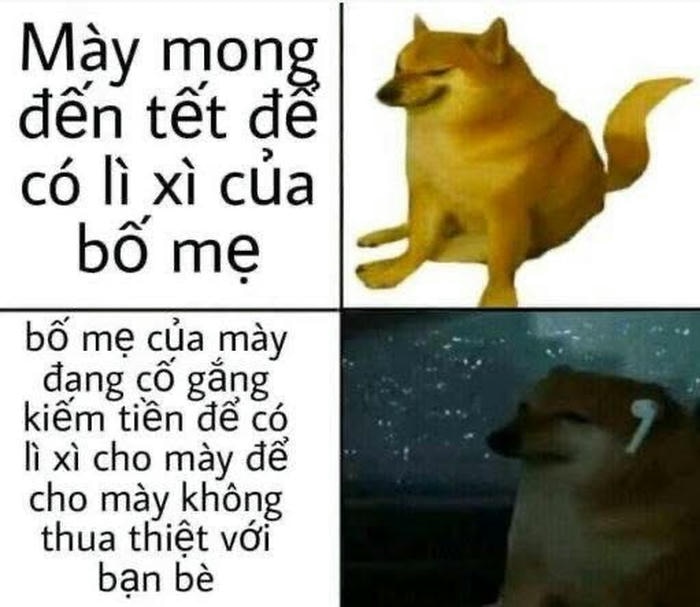 Ảnh meme tết đáng yêu