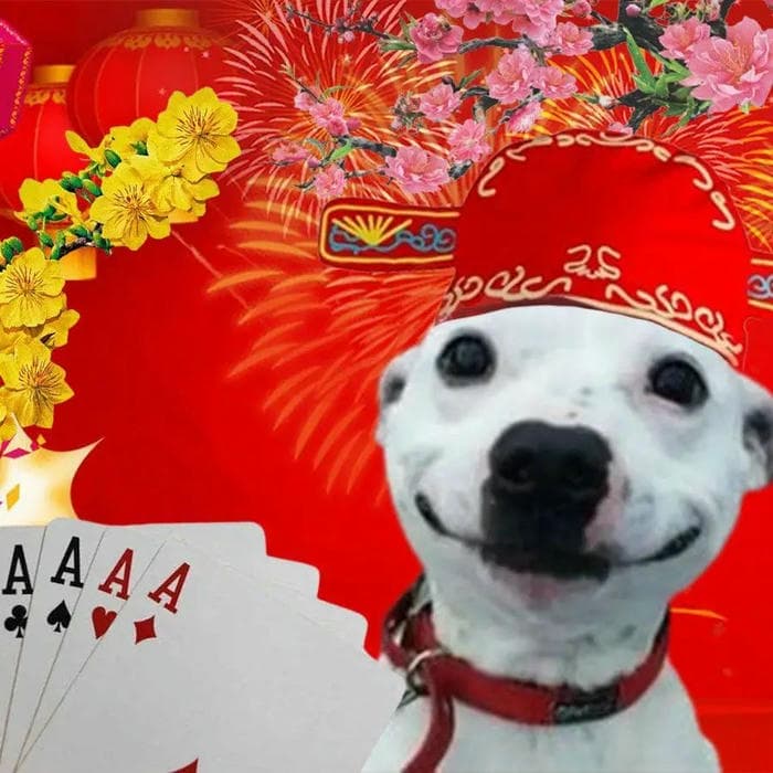 Ảnh meme tết vui bựa