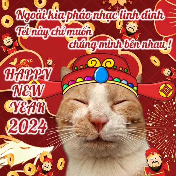 Ảnh meme tết vui nhộn