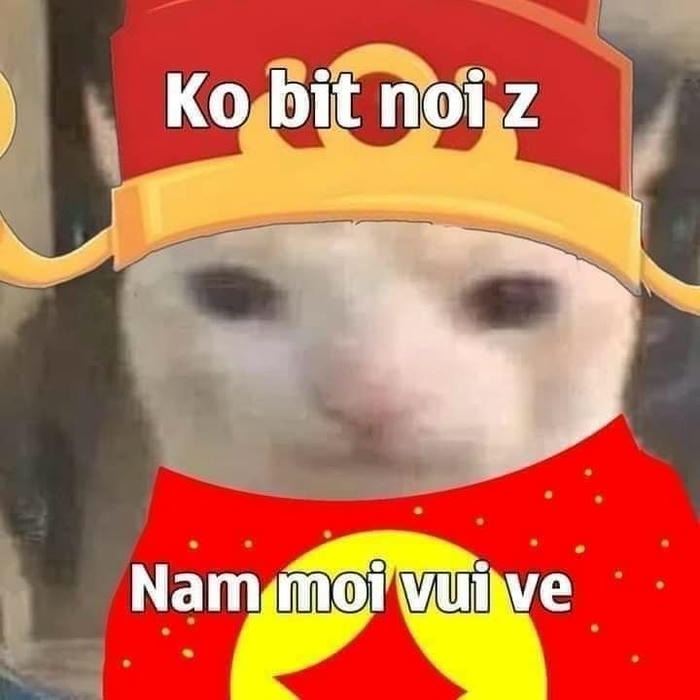 Ảnh meme tết vui