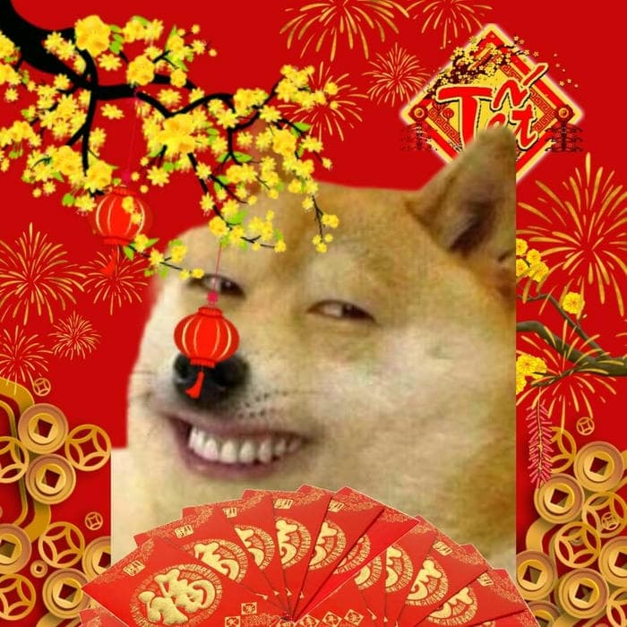 Avatar meme tết cho tết mới