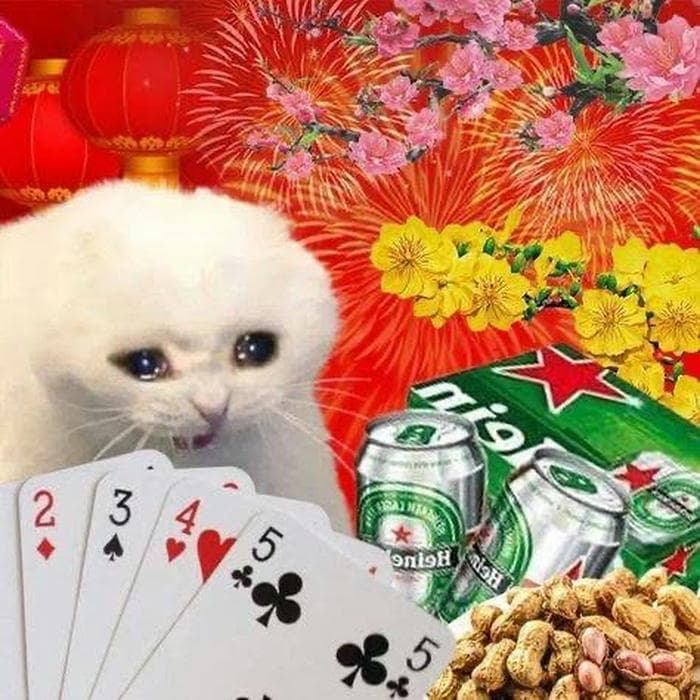 Avatar meme tết đáng yêu