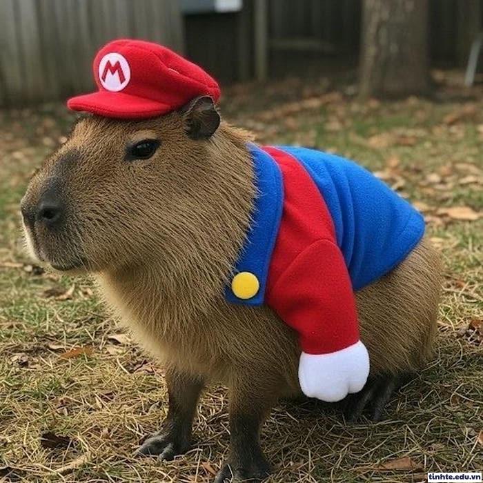 Meme Capybara chill