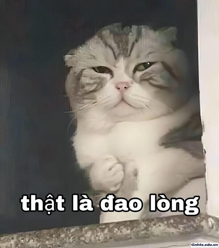 Meme giận dỗi đáng yêu