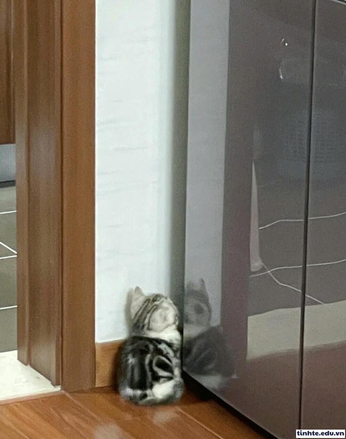 Meme giận dỗi gây cười