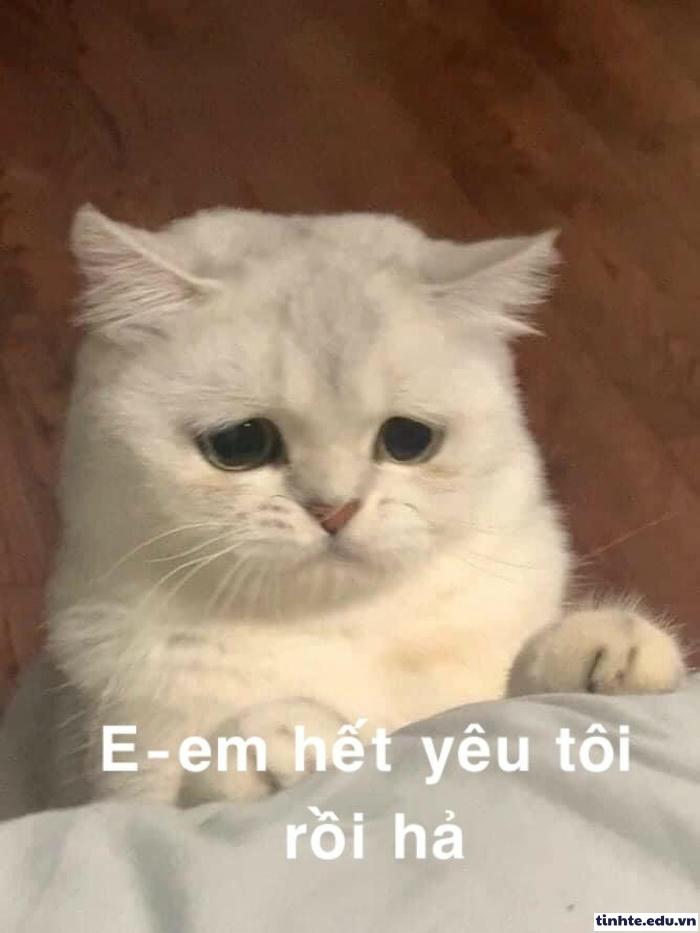 Meme giận dỗi hài hước