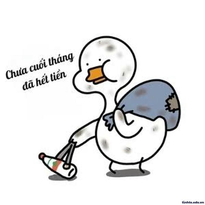 Meme hết tiền biểu cảm cực mạnh