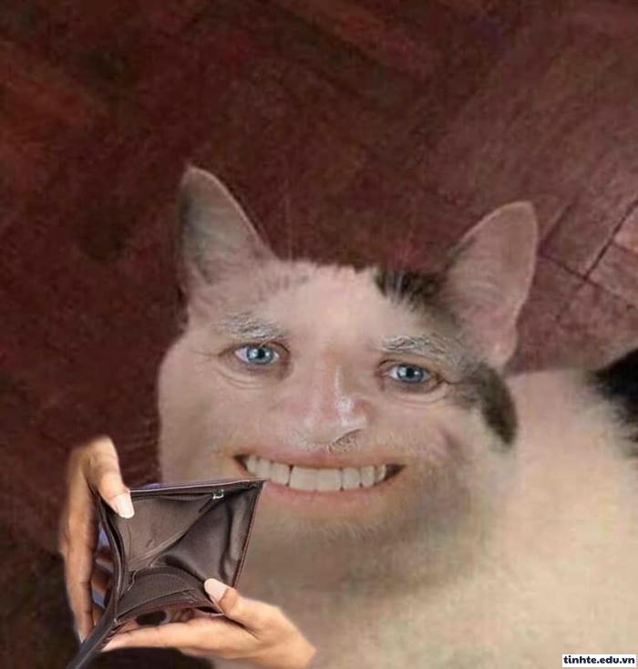 Meme hết tiền lan tỏa