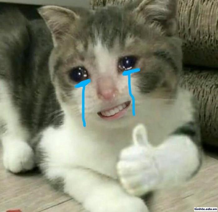 Meme mặt phụng phịu