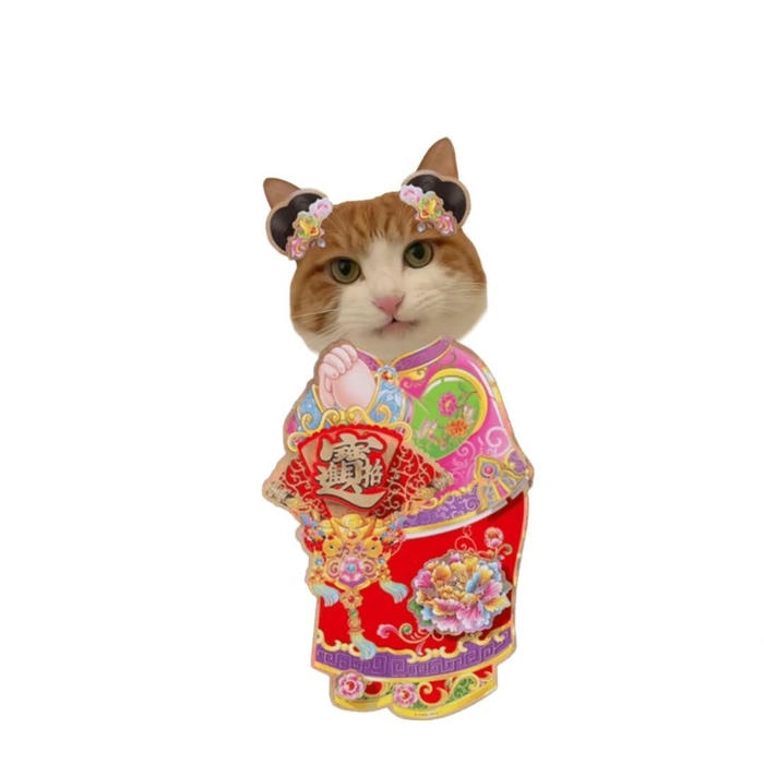 Meme mèo tết dễ thương