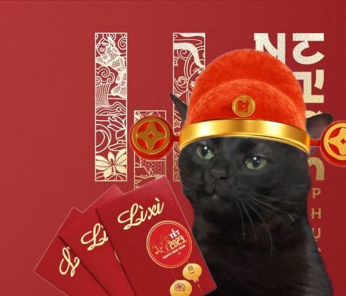Meme mèo tết nhận quà