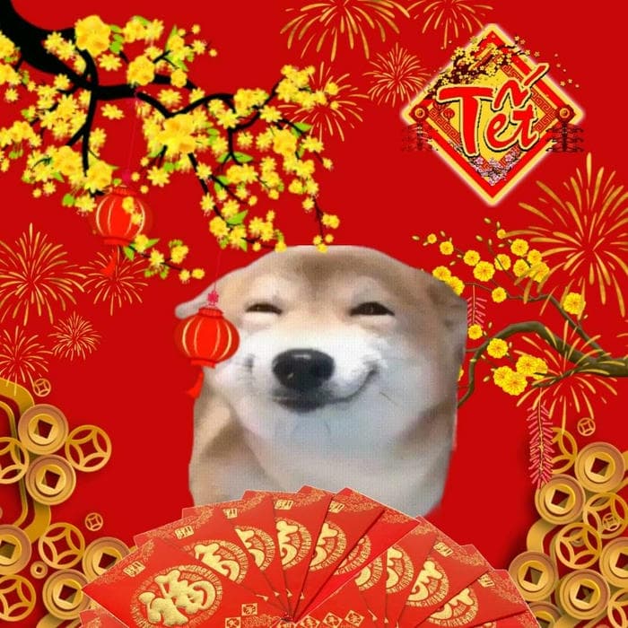 Meme tết đáng yêu