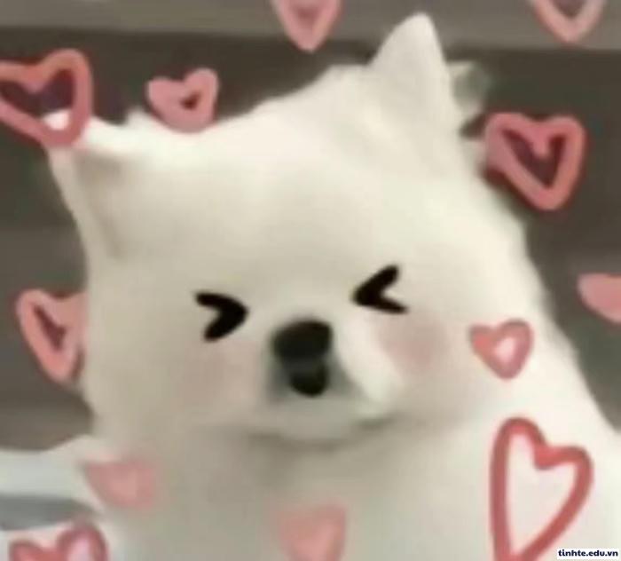 Meme tình yêu cảm xúc