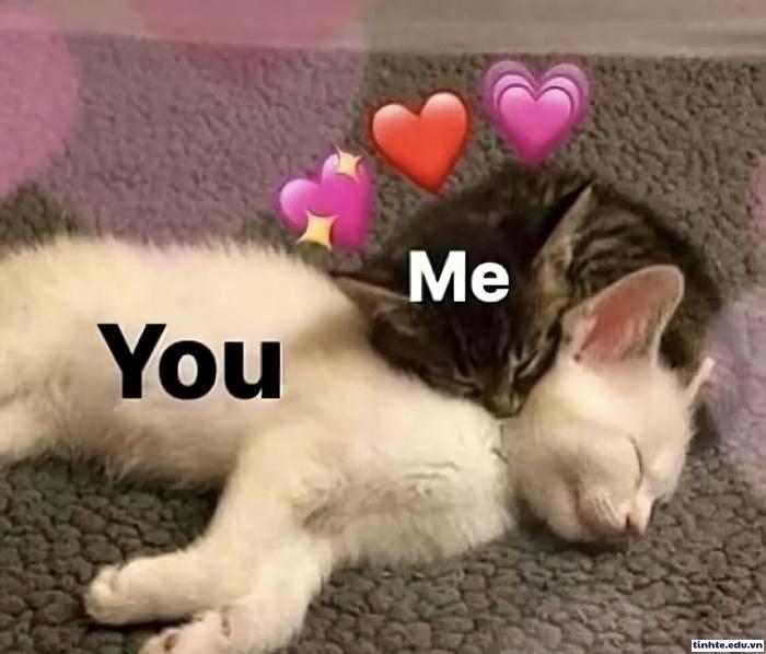Meme tình yêu
