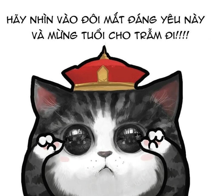 Tết meme đáng yêu