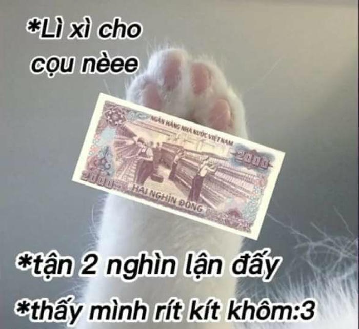 Tết meme hot trend