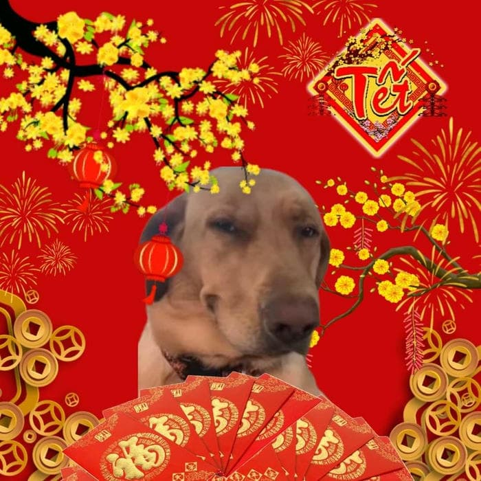 Tết meme mới nhất