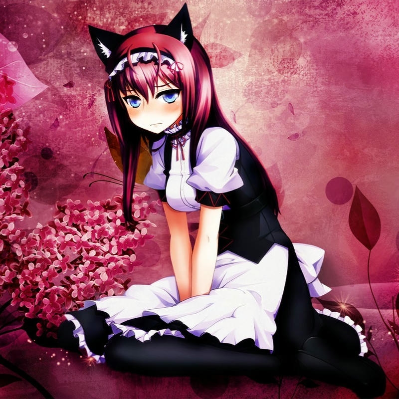 anime hầu gái cute đáng yêu ngọt dịu