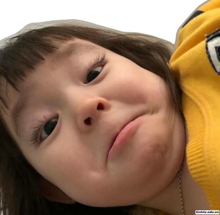 meme đáng yêu vui tươi