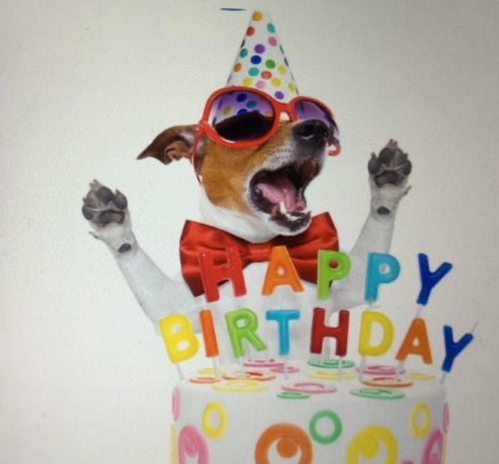 meme sinh nhật biểu cảm