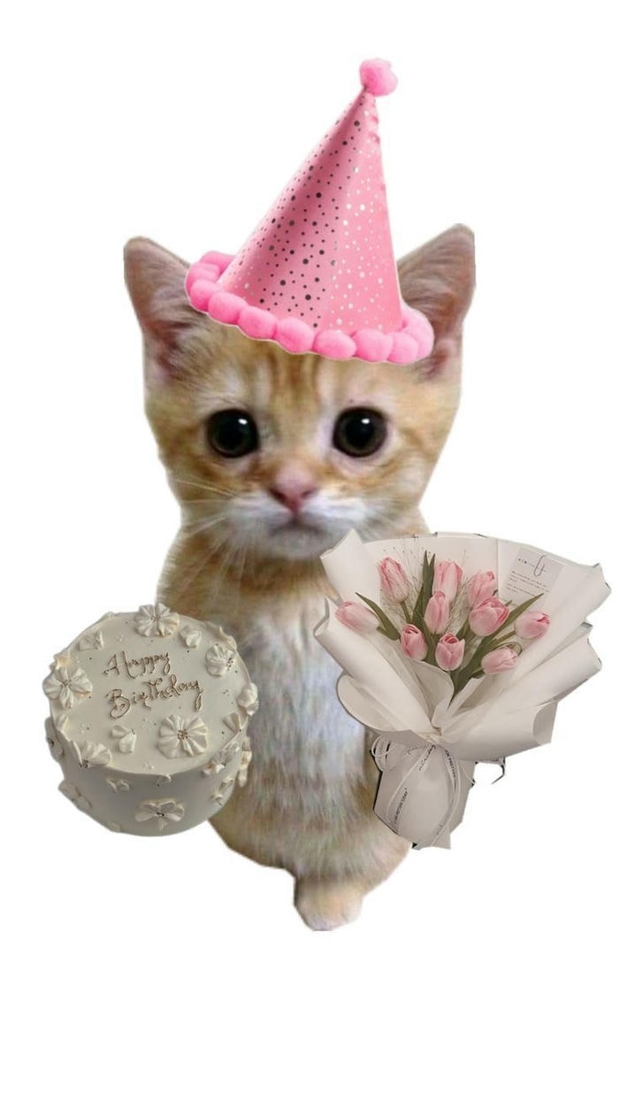 meme sinh nhật đáng yêu vui