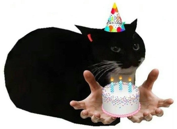 meme sinh nhật độc lạ