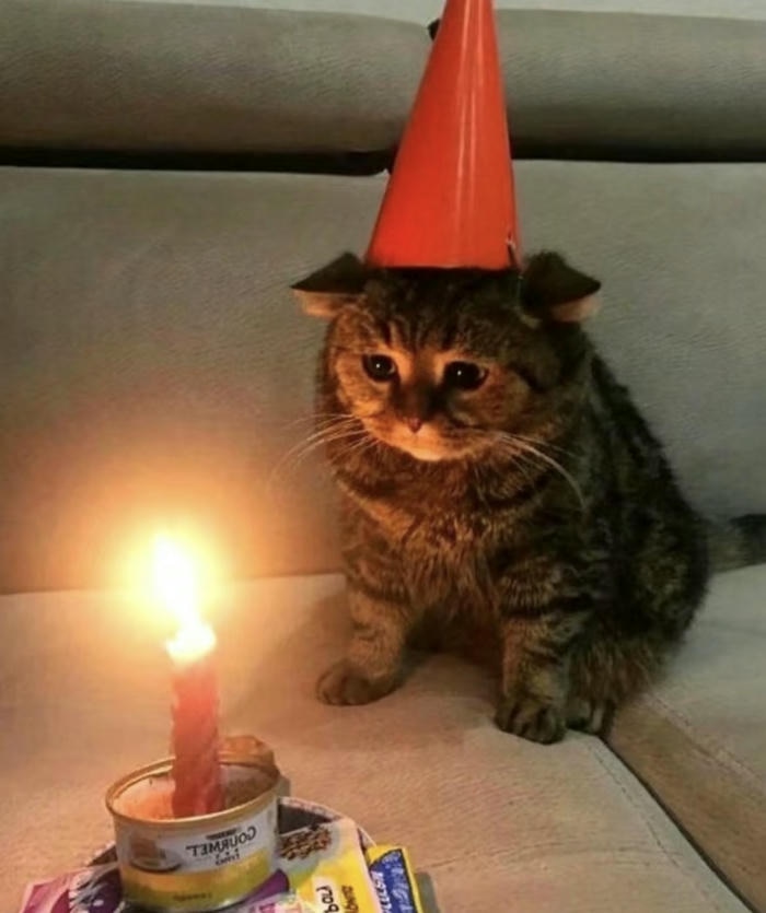 meme sinh nhật hài hước