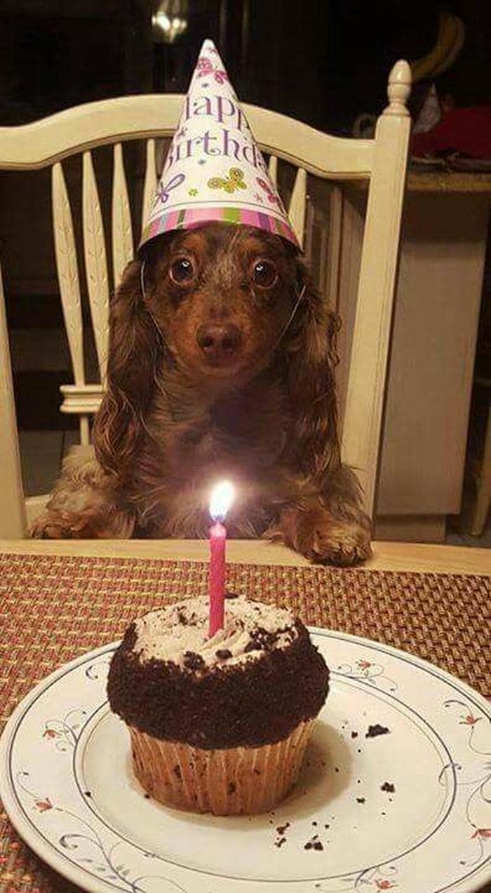 meme sinh nhật siêu dễ thương