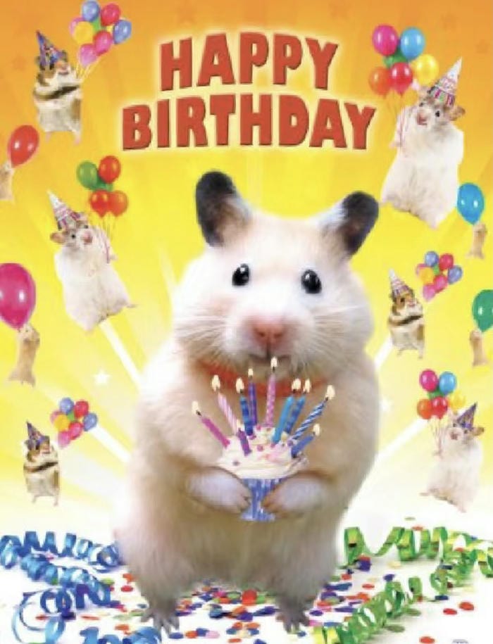 meme sinh nhật troll