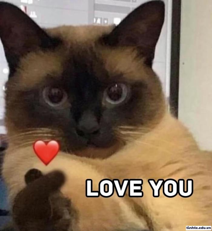 meme thả tim hài bựa