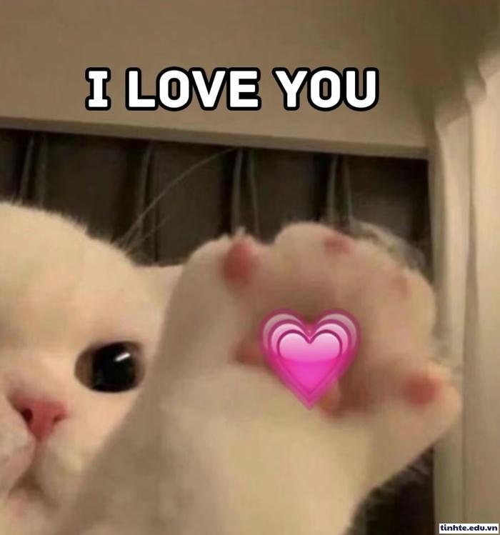 meme thả tim kiểu dễ cưng