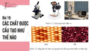 Các chất được cấu tạo như thế nào - Bài 19 SGK Vật Lý lớp 8