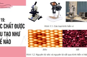 Các chất được cấu tạo như thế nào – Bài 19 SGK Vật Lý lớp 8