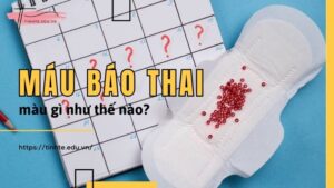 Máu báo thai màu gì như thế nào - Phân biệt với máu kinh