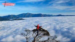 Tà Xùa ở đâu? Chơi gì - Ăn gì tại thiên đường mây Tà Xùa?