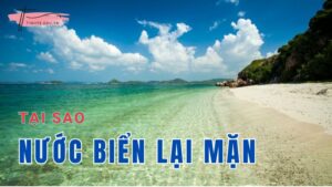 Lý do tại sao nước biển lại mặn không phải ai cũng biết