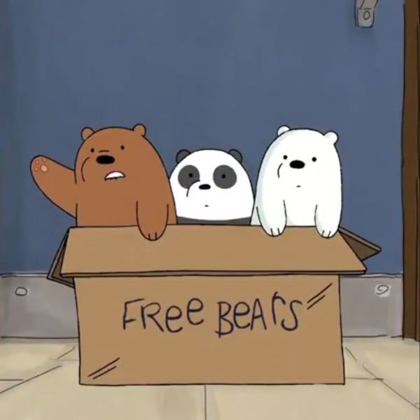 Avatar gấu cute, free bears