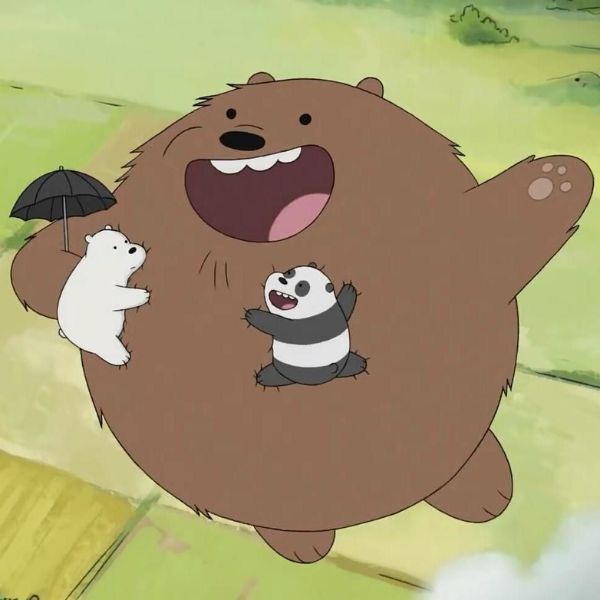 Avatar gấu cute big size