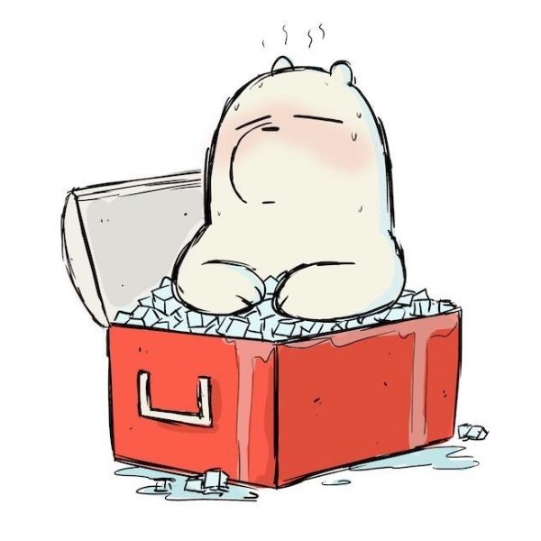 Hình avatar gấu trắng Ice Bear: giải pháp cho ngày hè oi bức