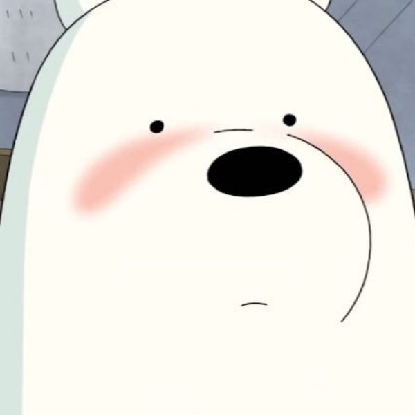 Hình avatar gấu trắng Ice Bear ngại ngùng