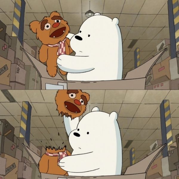 Hình avatar gấu trắng Ice Bear khó đoán