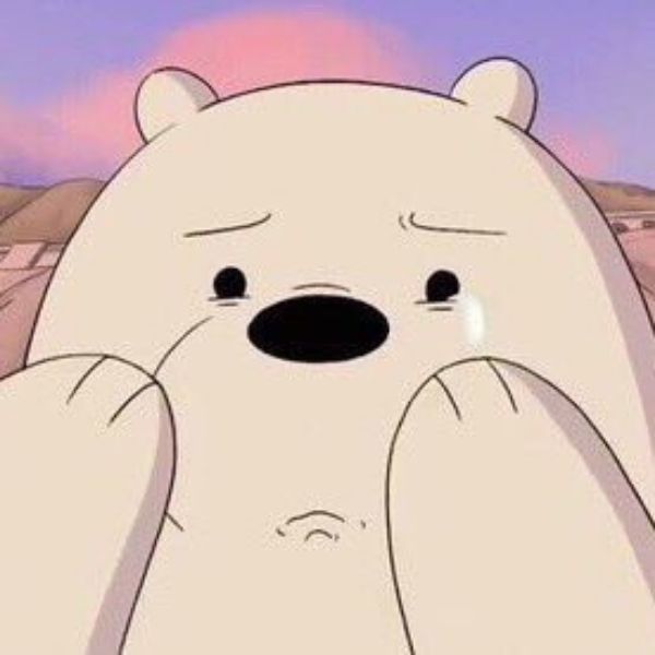 Hình avatar gấu trắng Ice Bear rơi nước mắt