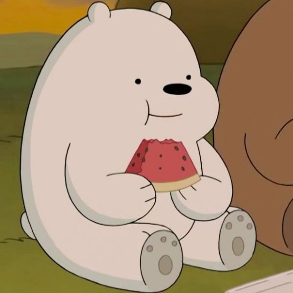 Hình avatar gấu trắng Ice Bear ăn dưa hấu