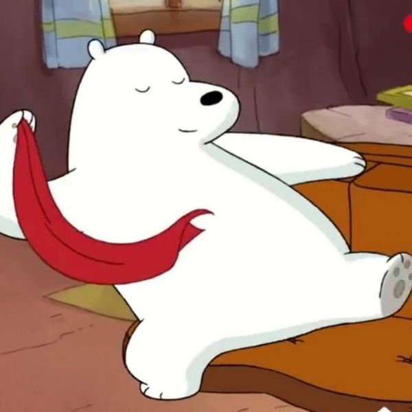 Hình avatar gấu trắng Ice Bear múa lụa